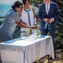 Blue mountains wedding